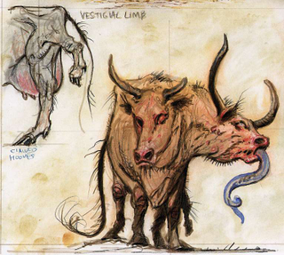 Illustration for article titled The Life and Creativity of A Great Bethesda Artist